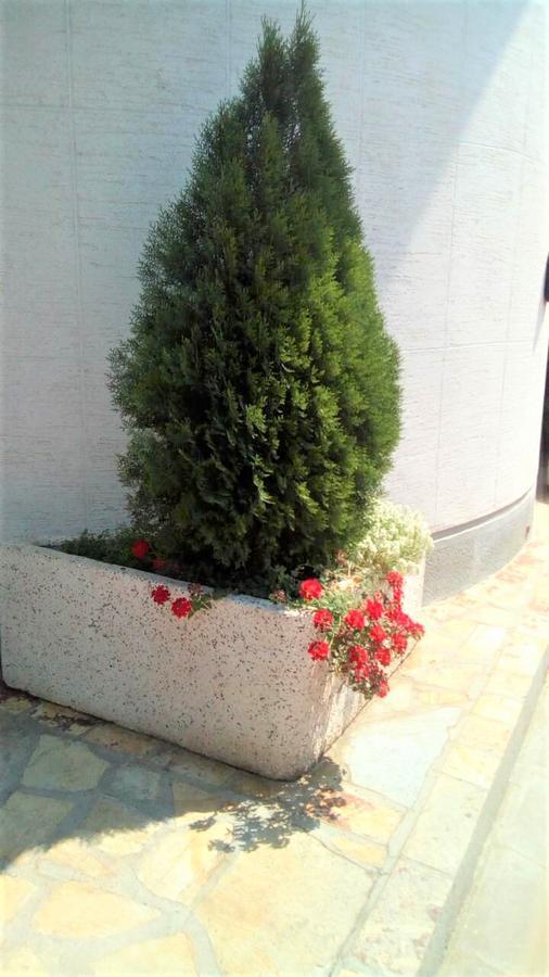 Hotel Tehnograd Kraljevo Exteriör bild